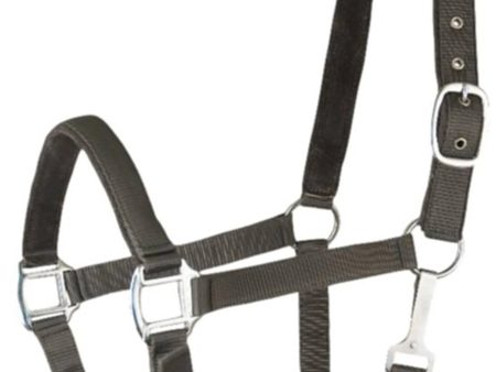 Gatsby Suede Padded Nylon Halter Discount