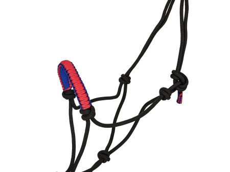 Tabelo Deluxe Rope Halter w  Braided Noseband Online