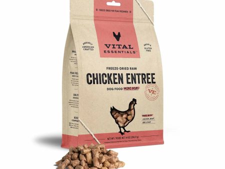 Vital Essentials(R) Freeze-Dried Raw Chicken Entree Dog Food Mini Nibs, Online now