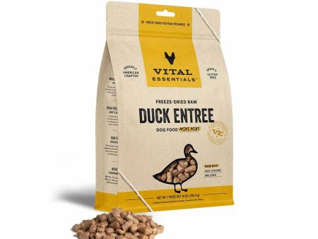 Vital Essentials(R) Freeze-Dried Raw Duck Entree Dog Food Mini Nibs, For Discount