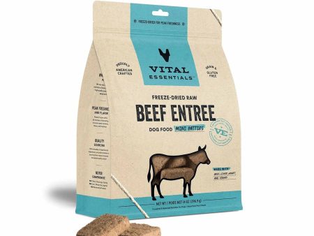 Vital Essentials(R) Freeze-Dried Raw Beef Entree Dog Food Mini Patties, 14 oz Online Hot Sale