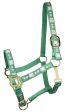 4H Classic Adjustable Nylon Halter With Snap on Sale