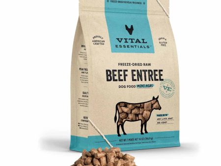 Vital Essentials(R) Freeze-Dried Raw Beef Entree Dog Food Mini Nibs, For Sale