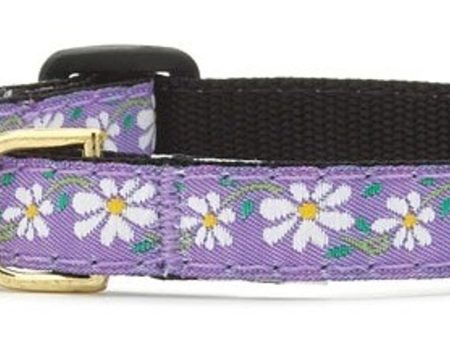 Up Country Daisy Cat Collar Discount