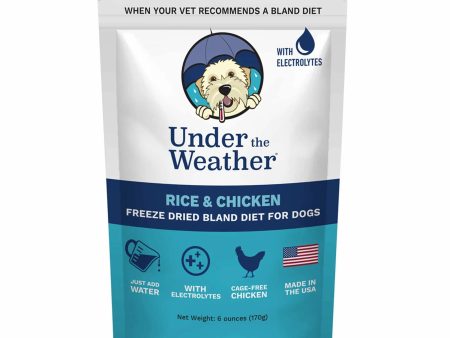 Under the Weather Bland Diet - Chicken & Rice w Electrolytes Online Sale