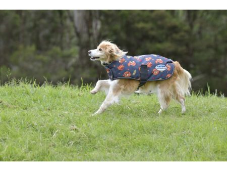 Weatherbeeta Hundedecke Comfitec Premier Free Parka Medium Squirrel Print on Sale