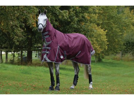 Weatherbeeta Winterdecke Comfitec Plus Dynamic II Combo Neck Medium 220g Maroon Grau Weiß Online