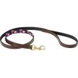 Weatherbeeta Hundeleine Polo Leder Cowdray Brown Violett Violett Hot on Sale