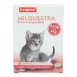 Beaphar Milquestra Katze 0,5-4kg Discount