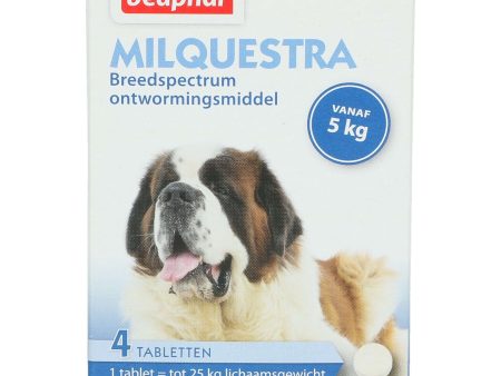 Beaphar Milquestra Hund Discount