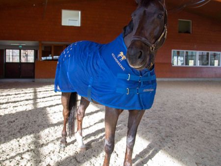 Accuhorsemat Decke Cooler mit Accupressure Mat Blau Online Sale