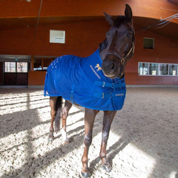 Accuhorsemat Decke Cooler mit Accupressure Mat Blau Online Sale