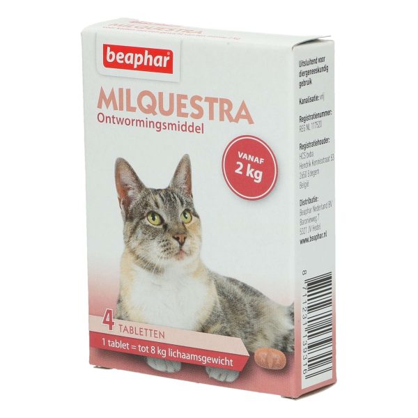 Beaphar Milquestra Katze 2-12kg Sale