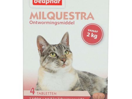 Beaphar Milquestra Katze 2-12kg Sale